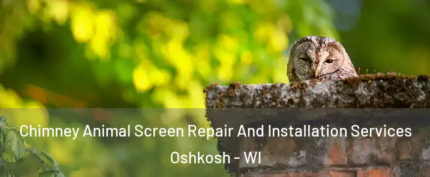  Chimney Animal Screen Repair And Installation Services Oshkosh - WI