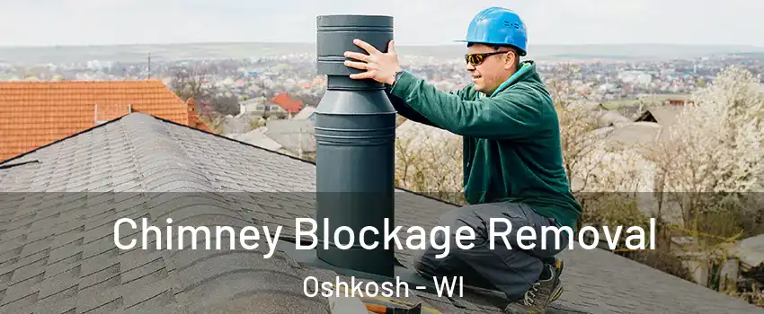  Chimney Blockage Removal Oshkosh - WI