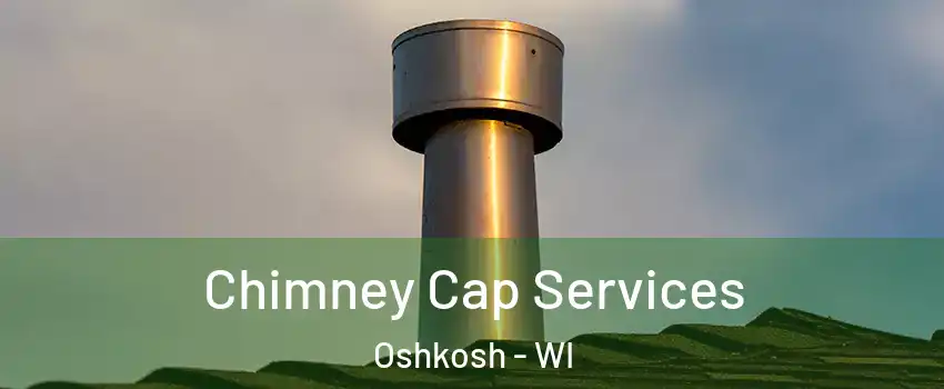  Chimney Cap Services Oshkosh - WI