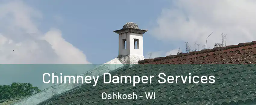  Chimney Damper Services Oshkosh - WI