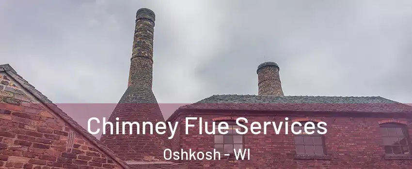  Chimney Flue Services Oshkosh - WI