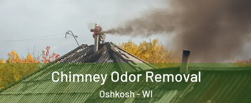  Chimney Odor Removal Oshkosh - WI