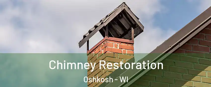  Chimney Restoration Oshkosh - WI