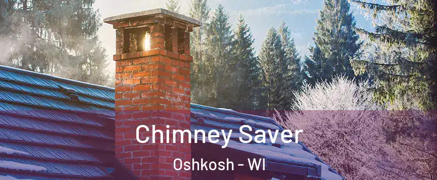  Chimney Saver Oshkosh - WI