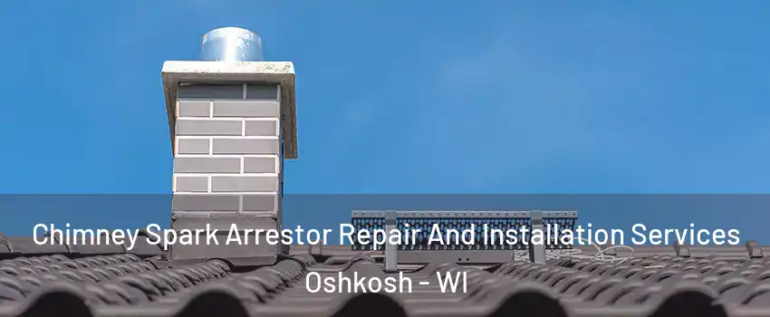  Chimney Spark Arrestor Repair And Installation Services Oshkosh - WI