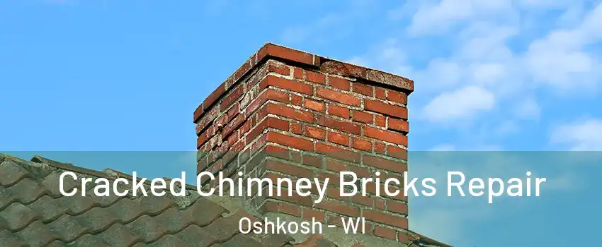  Cracked Chimney Bricks Repair Oshkosh - WI
