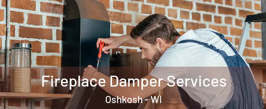  Fireplace Damper Services Oshkosh - WI