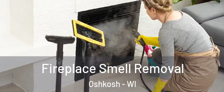  Fireplace Smell Removal Oshkosh - WI