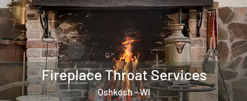  Fireplace Throat Services Oshkosh - WI
