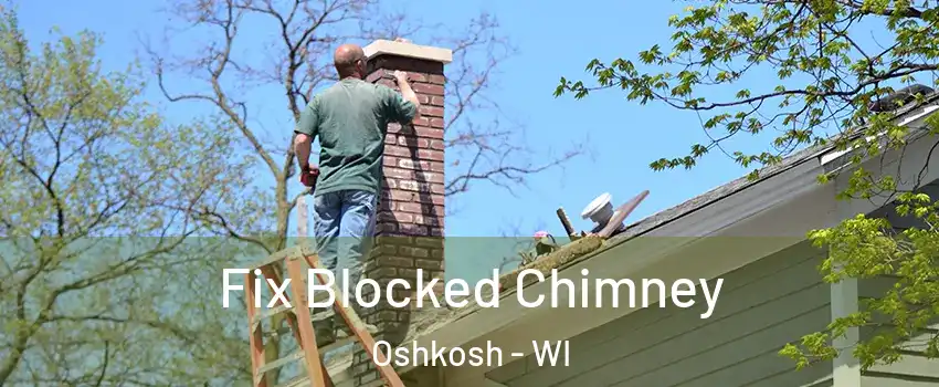  Fix Blocked Chimney Oshkosh - WI