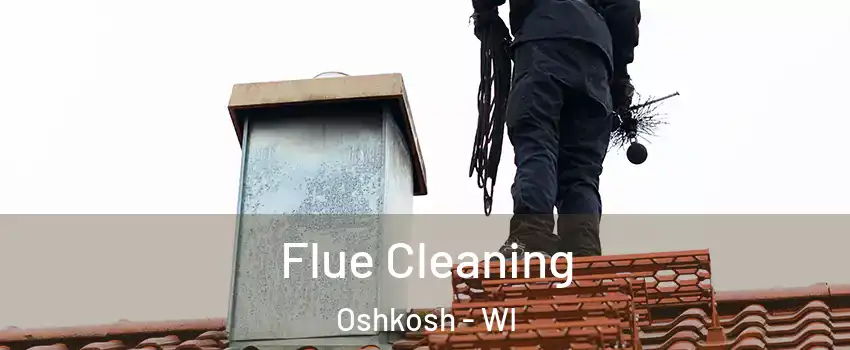  Flue Cleaning Oshkosh - WI