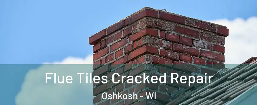  Flue Tiles Cracked Repair Oshkosh - WI