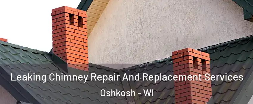  Leaking Chimney Repair And Replacement Services Oshkosh - WI