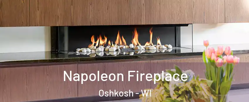  Napoleon Fireplace Oshkosh - WI