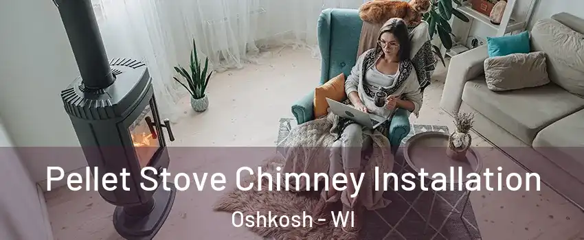  Pellet Stove Chimney Installation Oshkosh - WI
